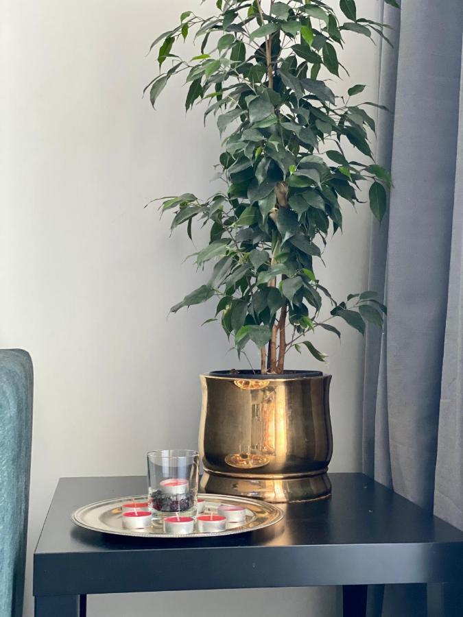 Apartament Z Widokiem Na Kazimierz/Forum Przestrzenie Apartment Krakow Ngoại thất bức ảnh